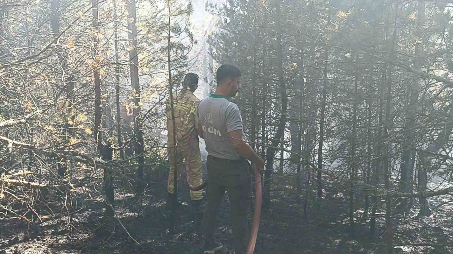 kastamonuda-orman-yangini-10-donumluk-alan-zarar-gordu