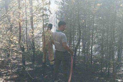 kastamonuda-orman-yangini-10-donumluk-alan-zarar-gordu