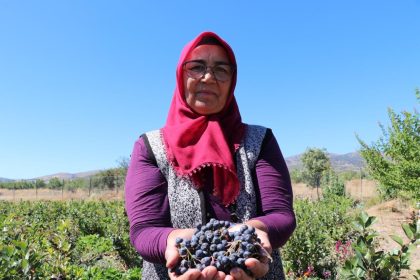 sifa-buldugu-meyvenin-uretimi-icin-sehir-degistirdi-2009-fidanla-sifa-dagitacak