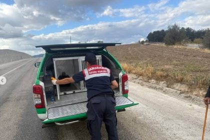 yarali-atmacaya-jandarma-sahip-cikti