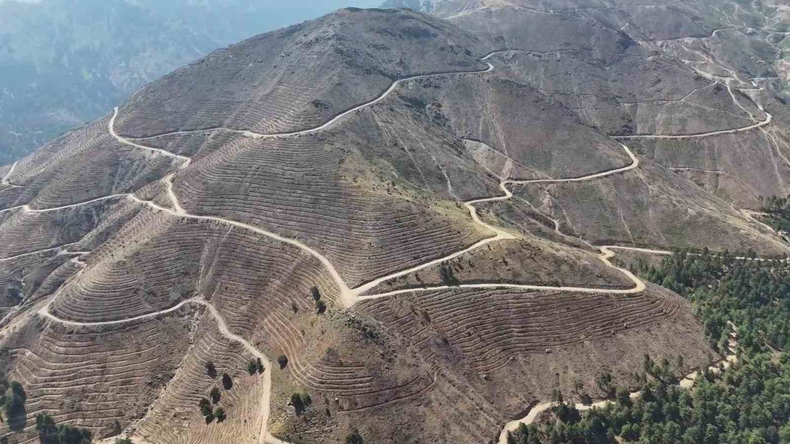 denizlide-yanan-4-bin-108-hektar-orman-sahasinda-25-milyon-fidan-yeserecek