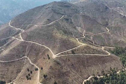 denizlide-yanan-4-bin-108-hektar-orman-sahasinda-25-milyon-fidan-yeserecek