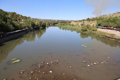 dicle-nehrinde-balik-olumleri-goruldu