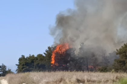 manavgatta-arazide-baslayan-yangin-ormanlik-alana-sicradi