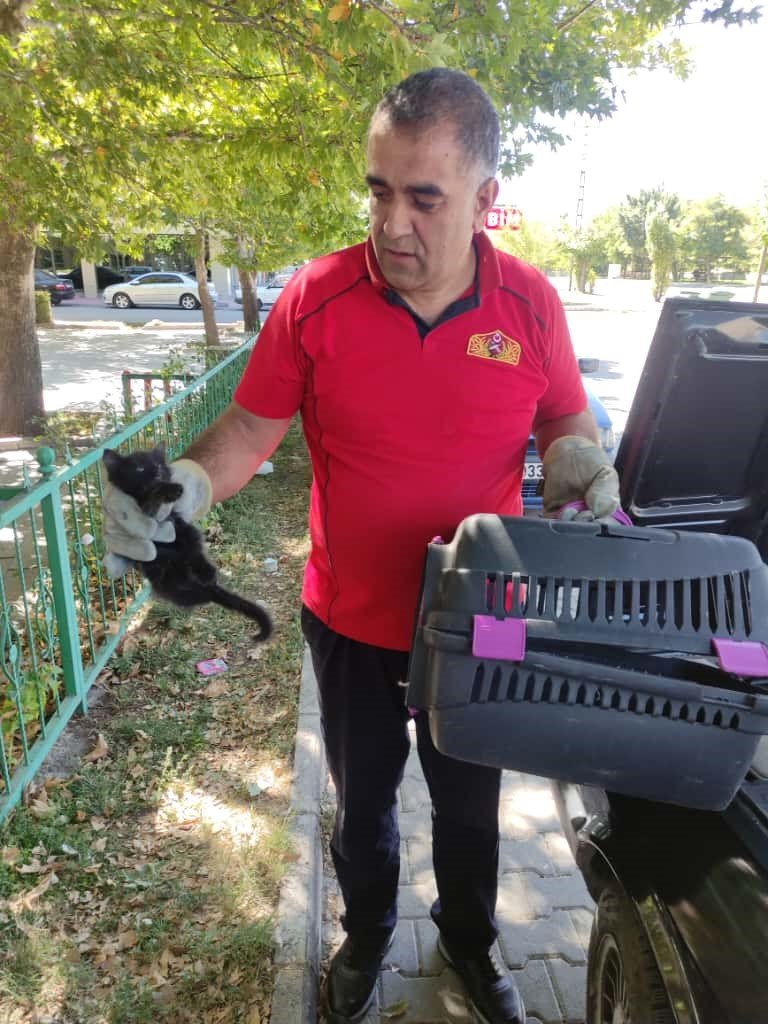 otomobilin-kaputuna-sikisan-kedi-kurtarildi
