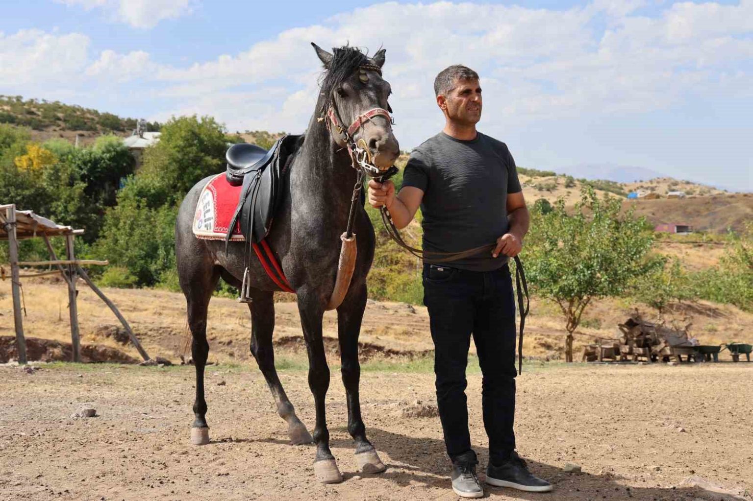 rahvan-atlarin-yolculugu-orta-asyadan-osmanliya-bugun-paluda