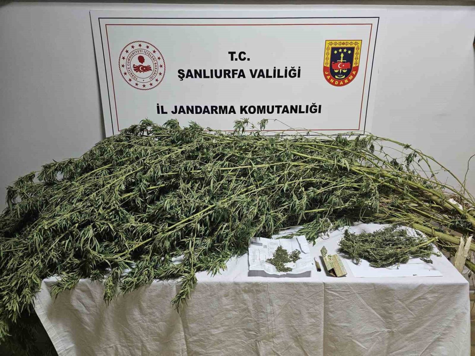 sanliurfada-esrar-ve-kenevir-bitkisi-ele-gecirildi