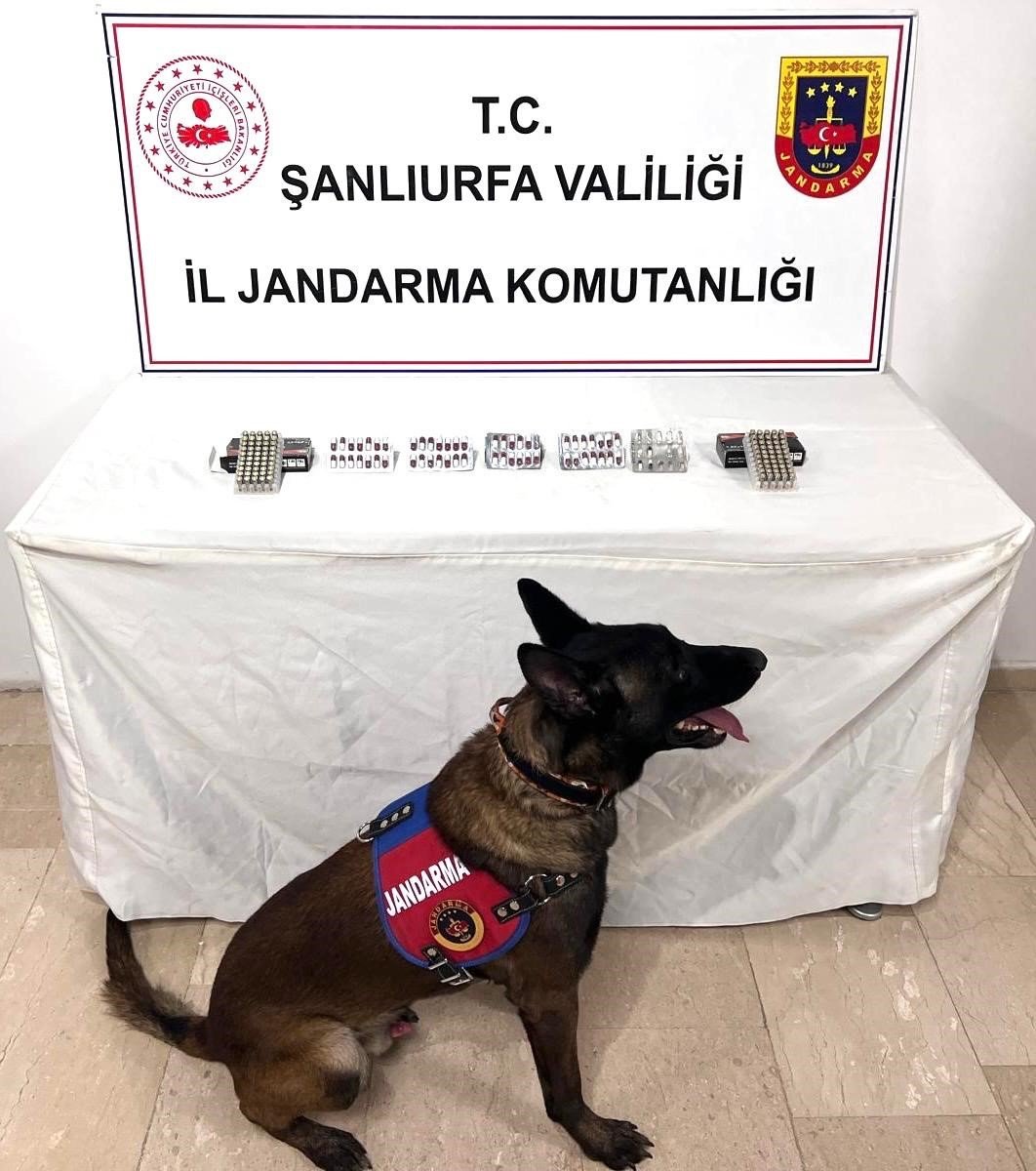 sanliurfada-uyusturucu-madde-ele-gecirildi