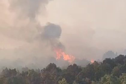 sazlik-alanda-cikan-yangin-ormana-sicradi