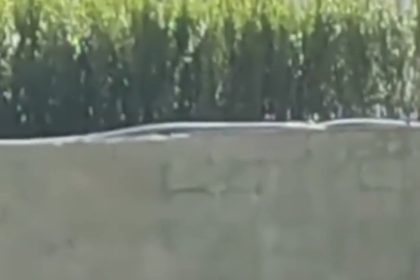 cadde-ortasinda-sopali-bicakli-kavga-3-yarali