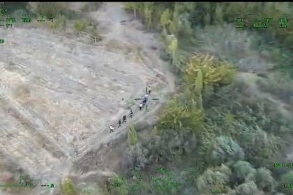 diyarbakirda-piyasa-degeri-1-milyar-lira-olan-12-bin-865-kok-kenevir-ele-gecirildi