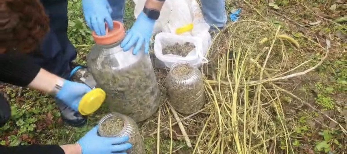 findik-bahcesindeki-bidonlardan-uyusturucu-cikti