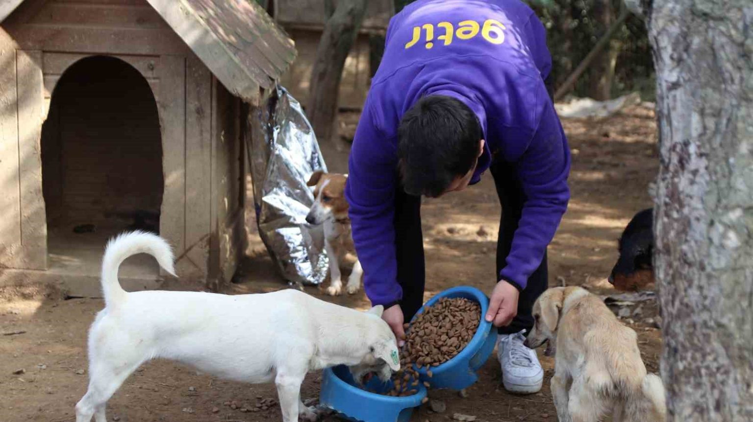 getirden-bu-yil-da-1-milyon-kap-mama-destegi