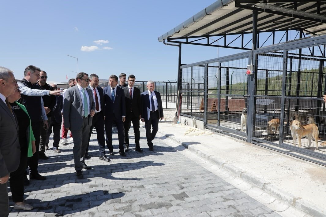 kutahya-valisi-isindan-saphanede-yapimi-tamamlanan-hayvan-barinaginda-inceleme