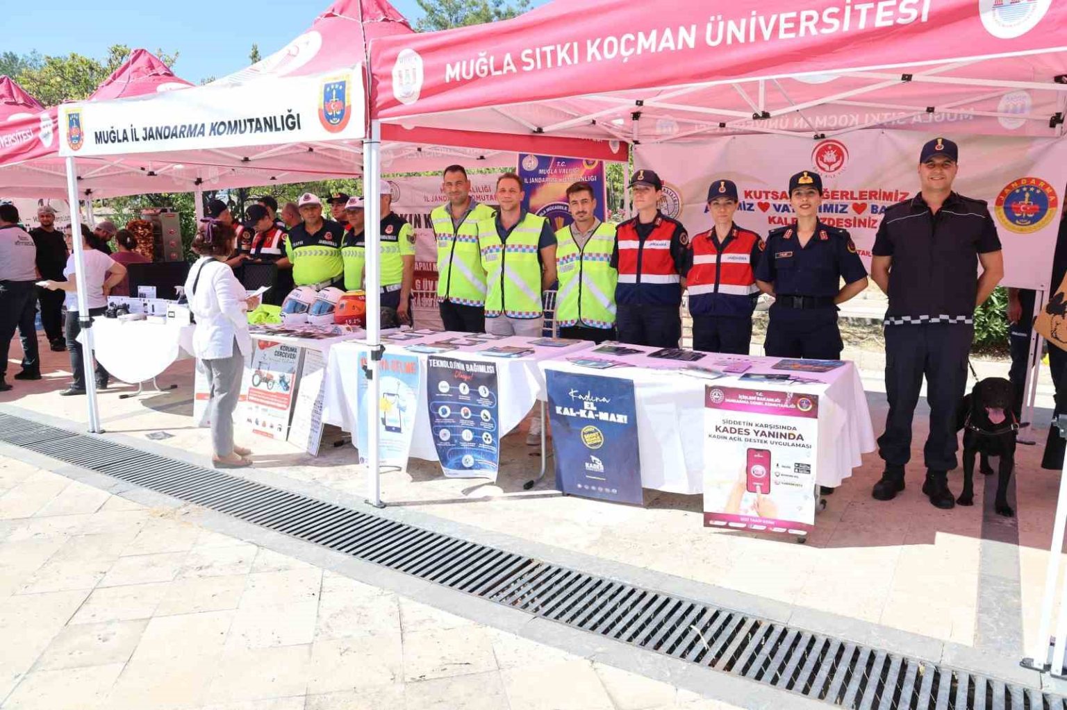 mskuden-universitene-hos-geldin-etkinligi