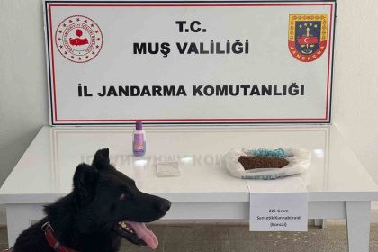 musta-uyusturucu-operasyonu-2-gozalti