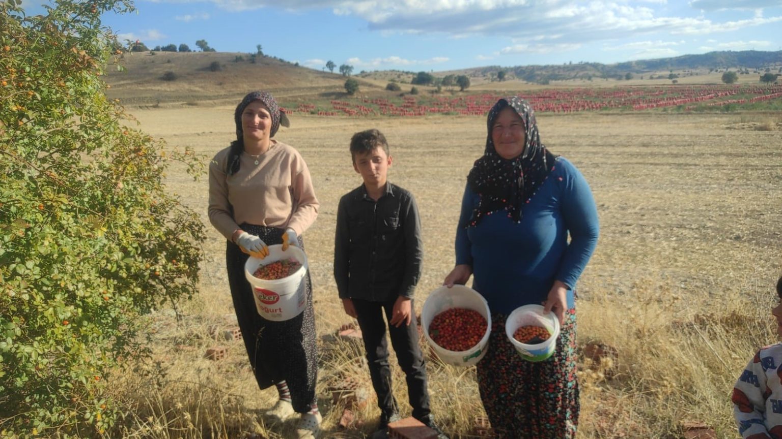 toplamasi-zahmetli-sifasi-saymakla-bitmiyor