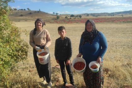 toplamasi-zahmetli-sifasi-saymakla-bitmiyor