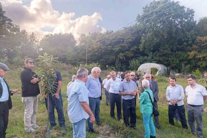 aricilar-ve-akademisyenler-kestane-balinin-gelecegini-konustu