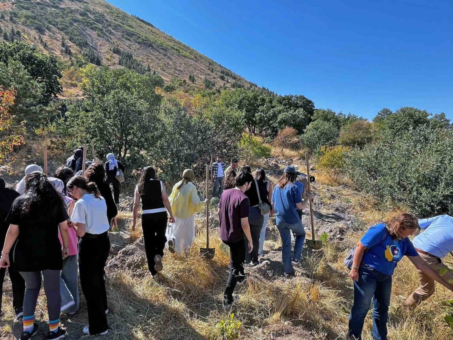 dunya-eczacilar-gununde-ali-dagina-yesil-nefes