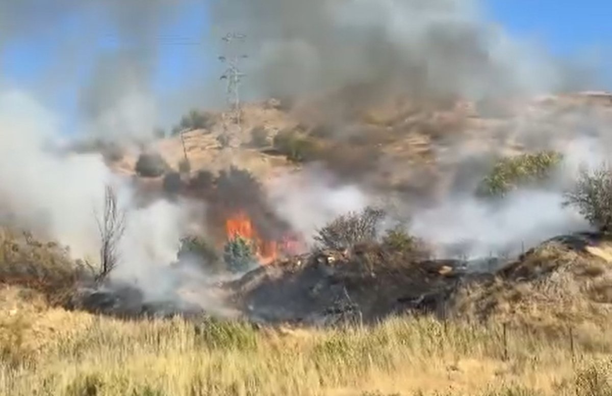 hakkaride-aniz-yangini