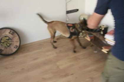 osmaniyede-uyusturucu-operasyonu-2-tutuklama