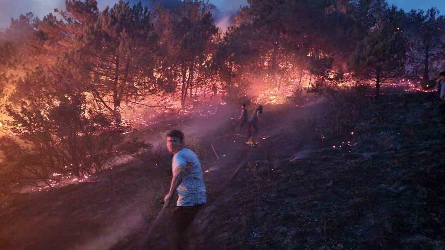 sakaryada-makilik-alanda-cikan-yangin-sonduruldu