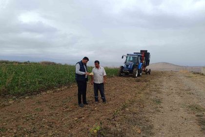 seker-pancari-hasadi-basladi