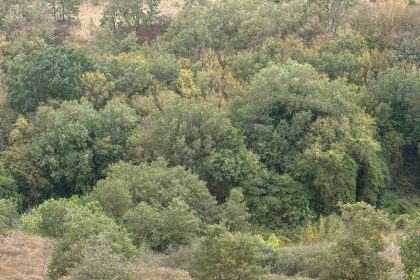 silivride-kayip-yasli-adam-sag-olarak-bulundu