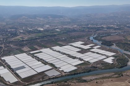 tokat-cicekcilikte-bolge-lideri-oldu-600-dekarda-20-cesit-cicek-yetistiriliyor