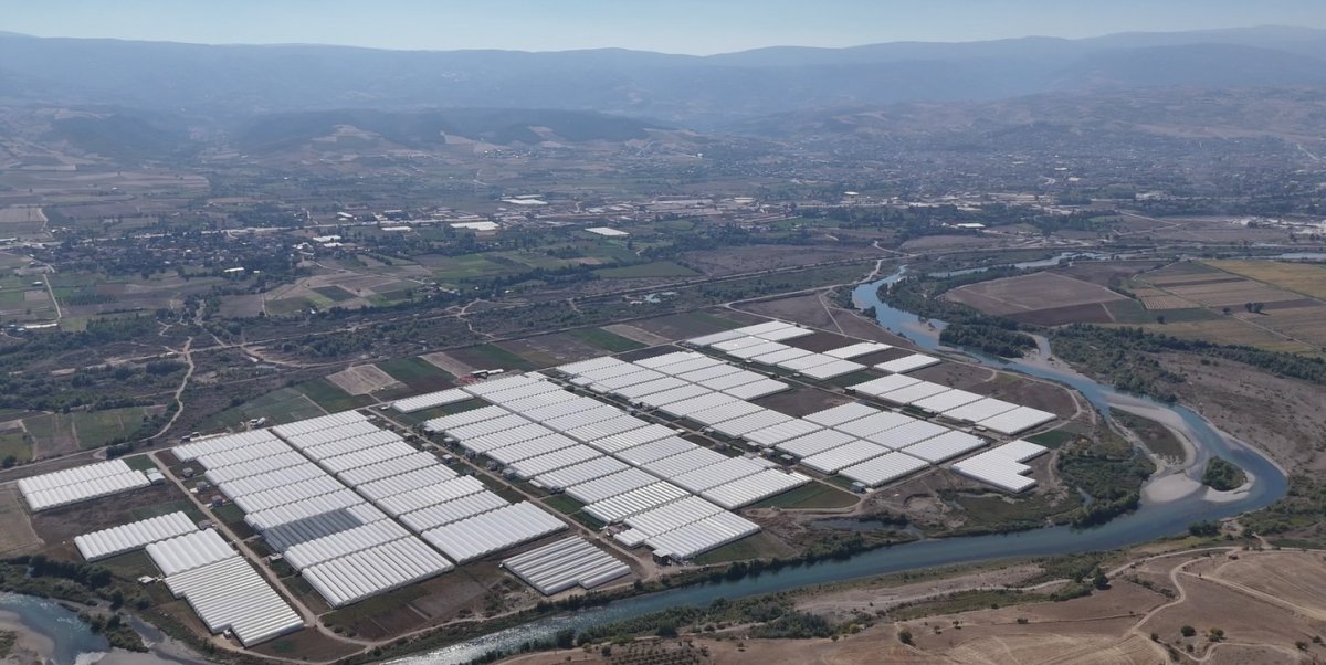 tokat-cicekcilikte-bolge-lideri-oldu-600-dekarda-20-cesit-cicek-yetistiriliyor