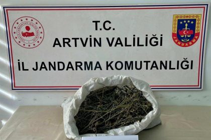 artvinde-uyusturucu-operasyonu