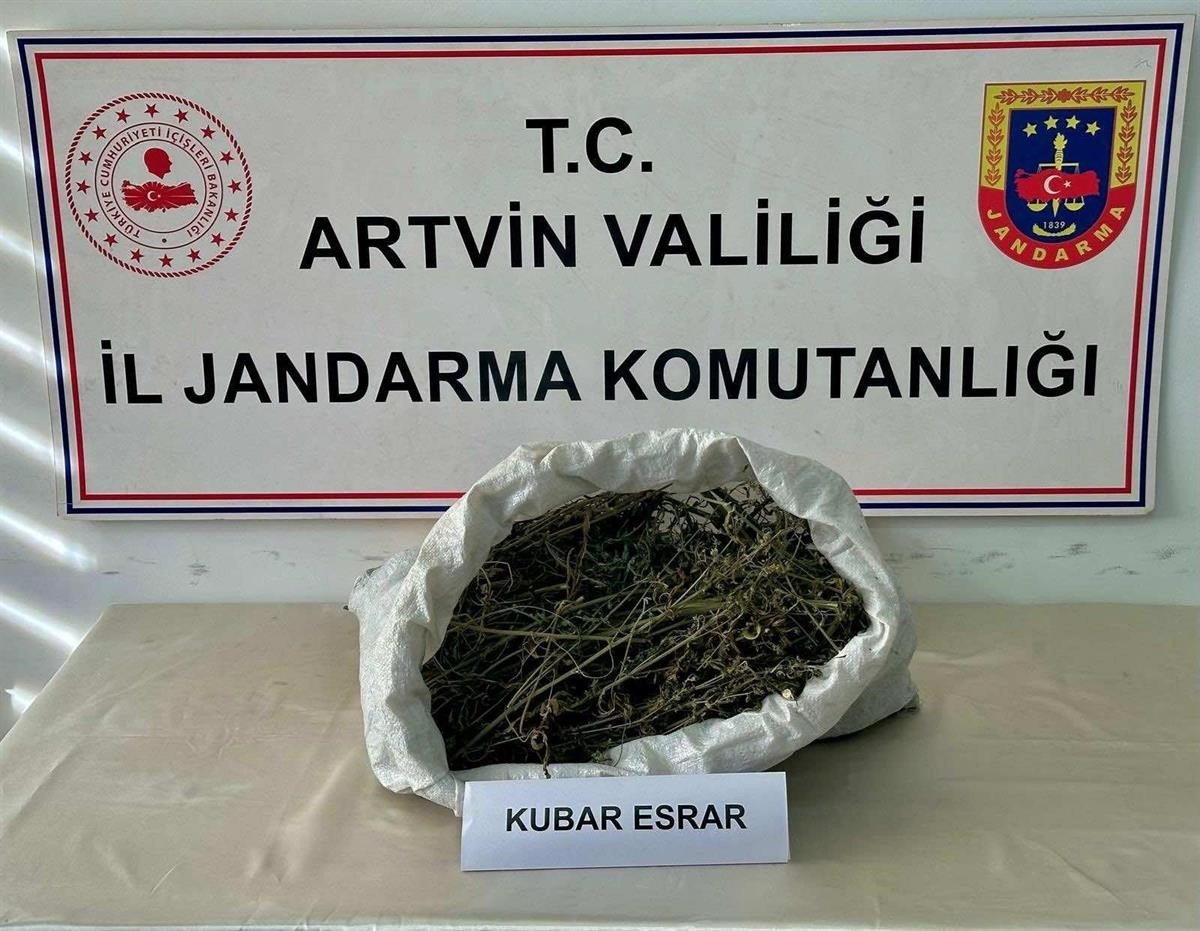 artvinde-uyusturucu-operasyonu
