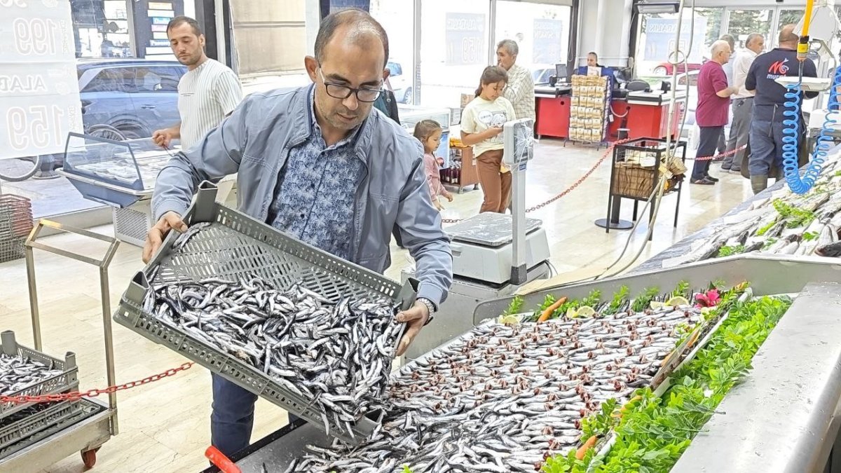 balik-tezgahlari-senlendi