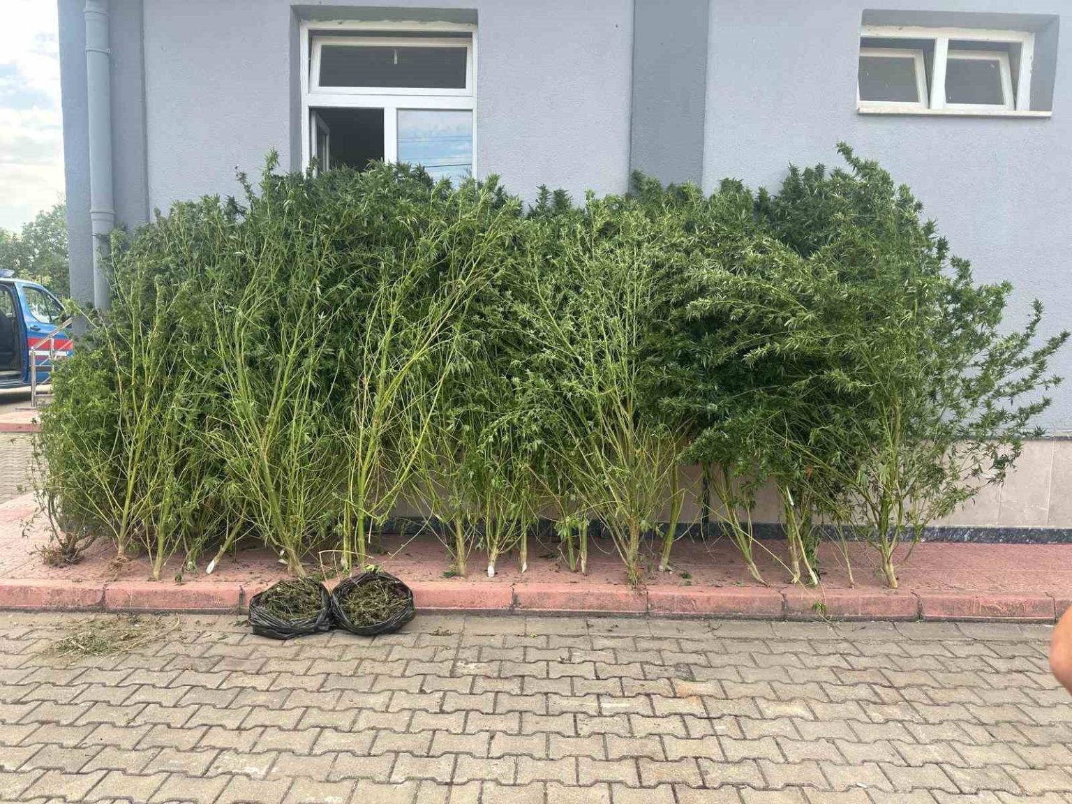 bursada-uyusturucu-operasyonu