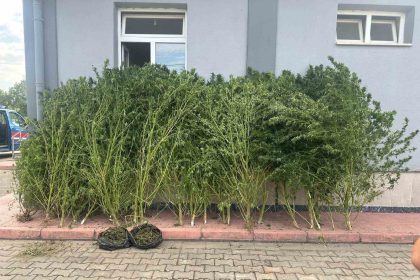 bursada-uyusturucu-operasyonu