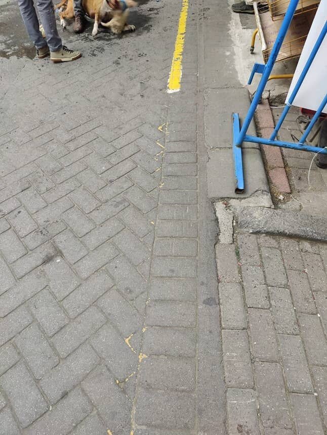 gaziosmanpasada-agizliksiz-gezdirilen-pitbull-baska-kopege-saldirdi