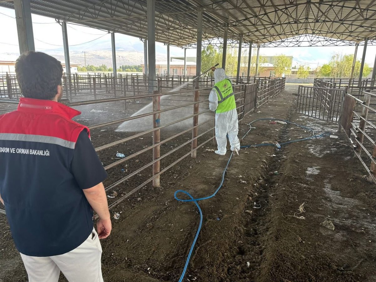 igdirda-acilan-hayvan-pazari-2-hafta-sonra-tekrar-kapatildi