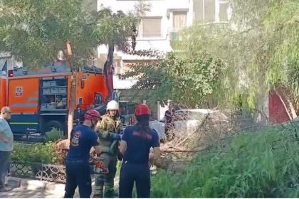 izmirde-agac-park-halindeki-otomobillerin-uzerine-devrildi