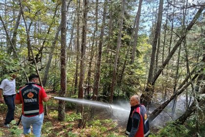 kastamonuda-ormanlik-alanda-cikan-yangin-ekiplerin-mudahalesiyle-sonduruldu