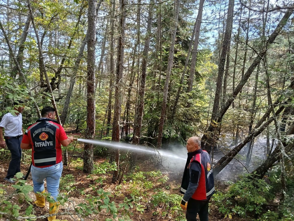 kastamonuda-ormanlik-alanda-cikan-yangin-ekiplerin-mudahalesiyle-sonduruldu