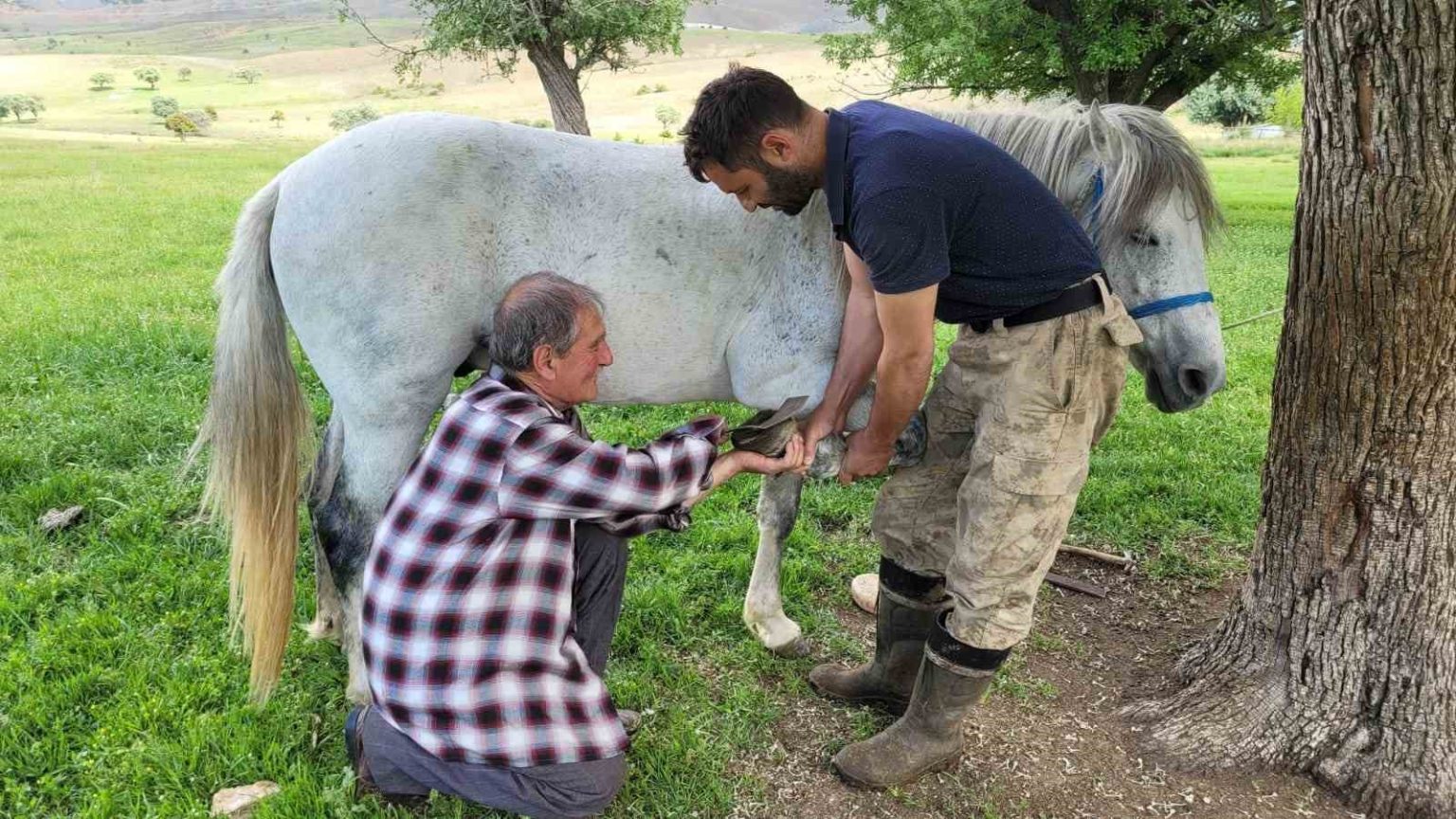 kemaliyenin-son-nalbant-ustasi-yarim-asirdir-meslegini-surduruyor