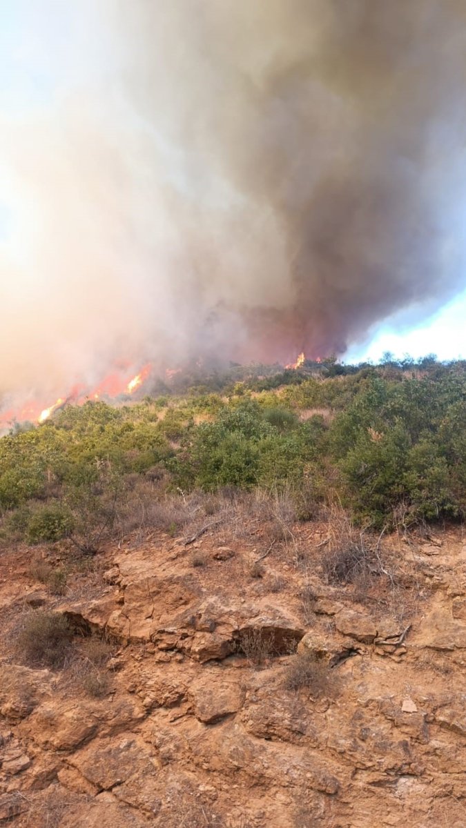 kepsutta-orman-yangini-basladi