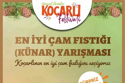 kocarlida-cam-fistiginin-en-iyisi-secilecek