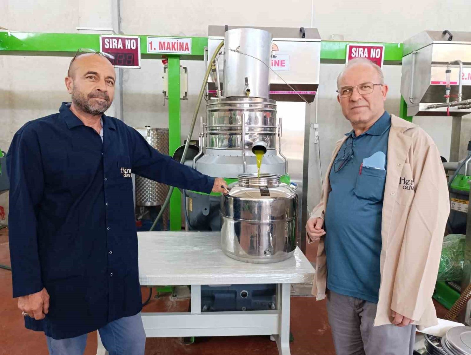 koprubasinda-zeytin-sikim-sezonu-basladi