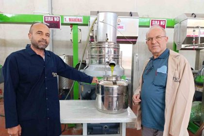 koprubasinda-zeytin-sikim-sezonu-basladi