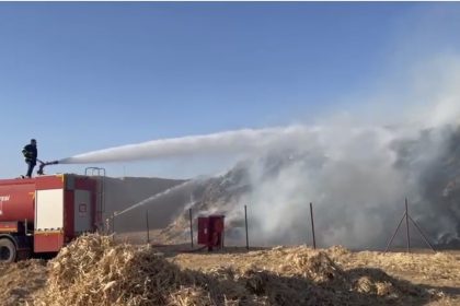 mardinde-misir-balyalarinin-bulundugu-tarlada-cikan-yangin-sonduruldu