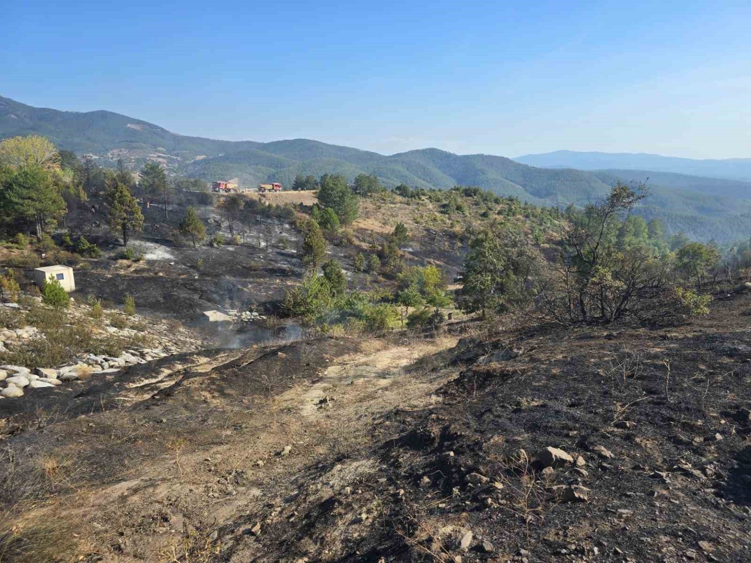 ormanda-piknik-keyfi-faciaya-sebep-oluyordu