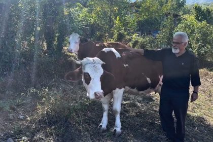 sut-sigirciligi-yapan-ailelere-4-milyon-476-bin-tl-destek