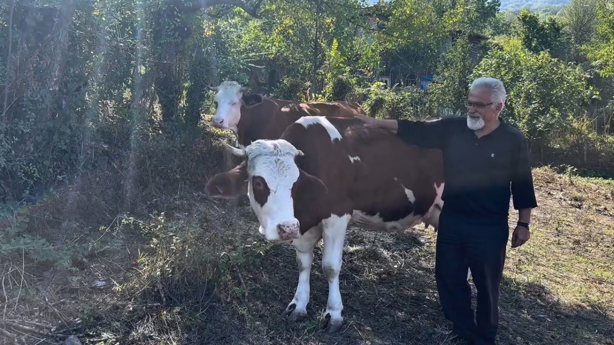 sut-sigirciligi-yapan-ailelere-4-milyon-476-bin-tl-destek